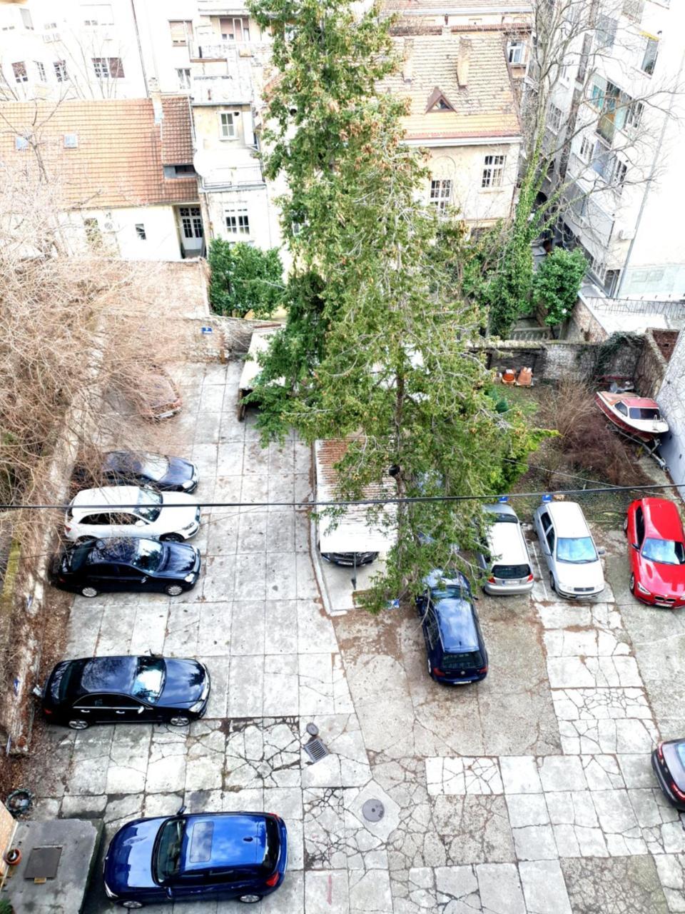 Dream Apt With Parking Daire Belgrad Dış mekan fotoğraf